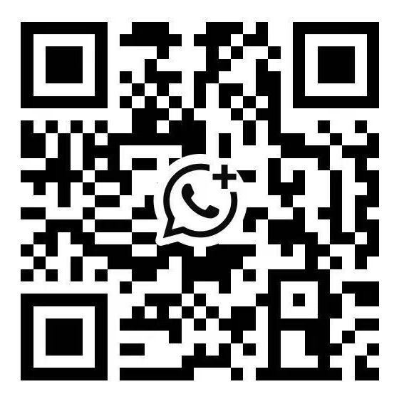 WhatsApp 客服支持